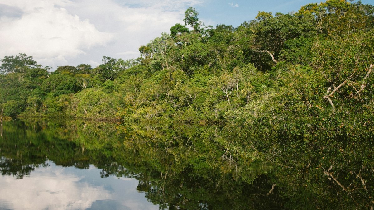 La forêt amazonienne qui se reflète dans l'eau calme d'un bras de fleuve