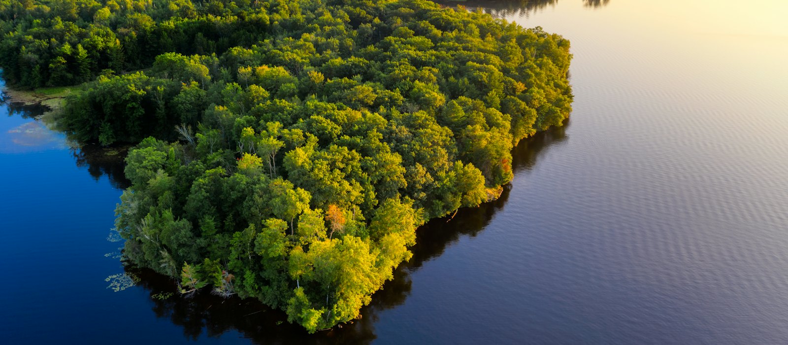 Une île couverte de forêt tropicale au milieu d'un large fleuve amazonien, vue du ciel au lever du soleil