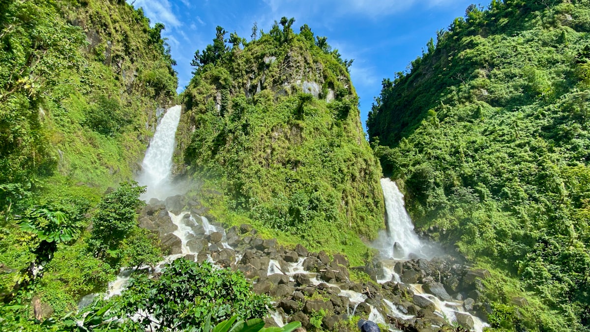 Les deux chutes des Trafalgar Falls dévalant la forêt tropicale de la Dominique