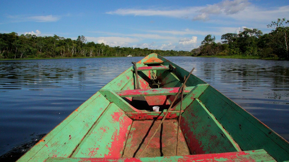 La proue d'une pirogue en bois peinte en vert et rouge, sur une rivière bordée de forêt