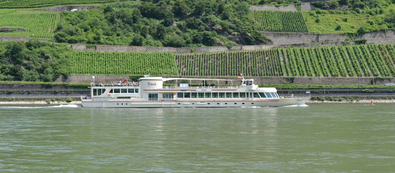 Un bateau blanc navigue sur le Rhin au pied de coteaux couverts de vignes en terrasses