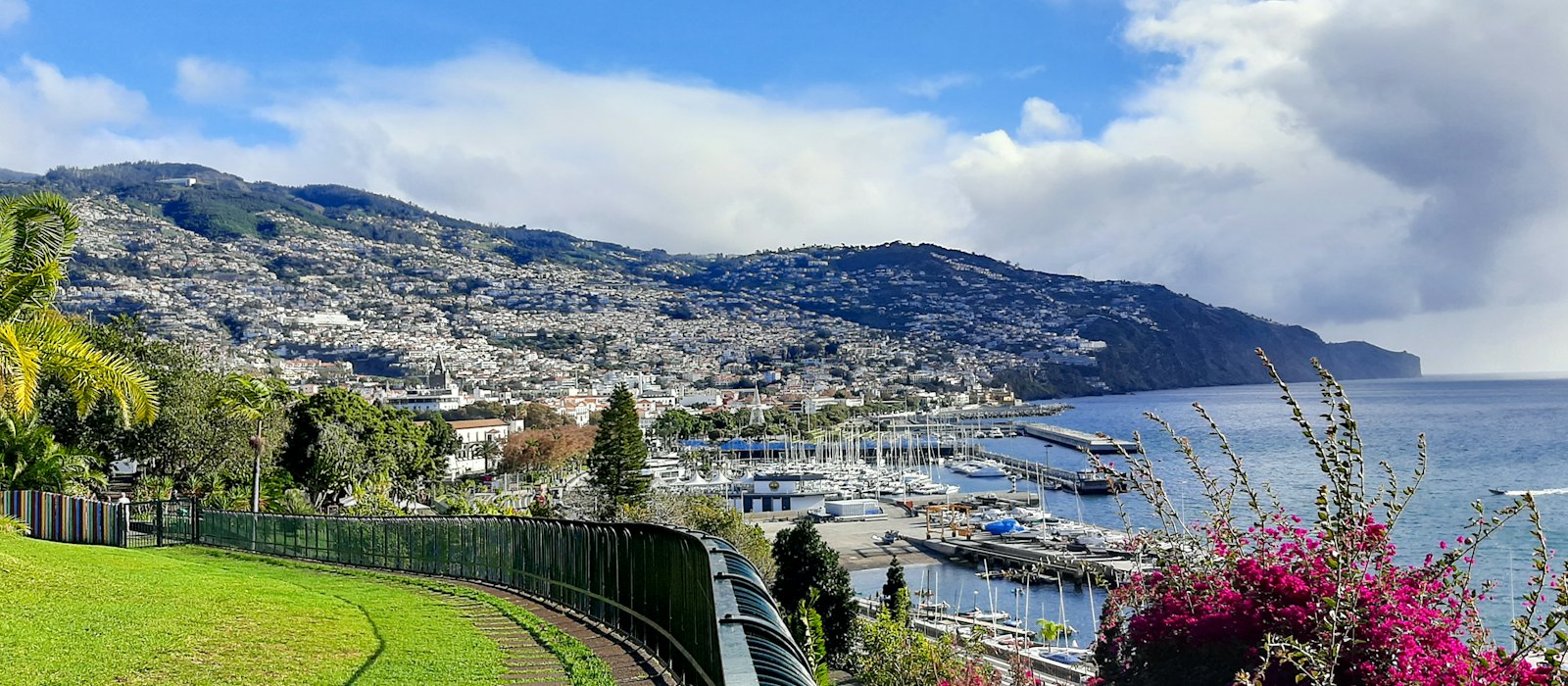 La baie de Funchal, à Madère, vue depuis un jardin fleuri de bougainvilliers, avec le port et la ville à flanc de montagne