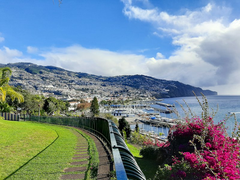 La baie de Funchal, à Madère, vue depuis un jardin fleuri de bougainvilliers, avec le port et la ville à flanc de montagne