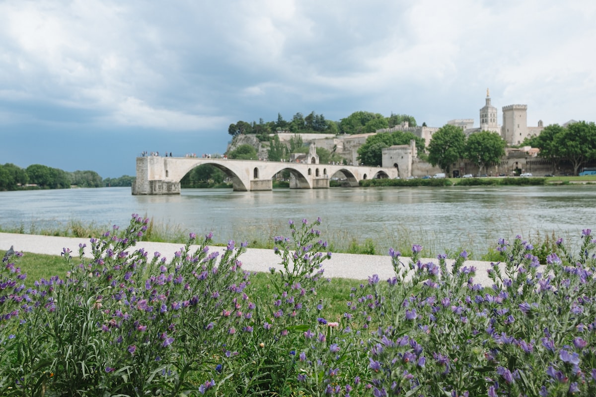 Le pont Saint-Bénézet et le Palais des Papes au bord du Rhône à Avignon