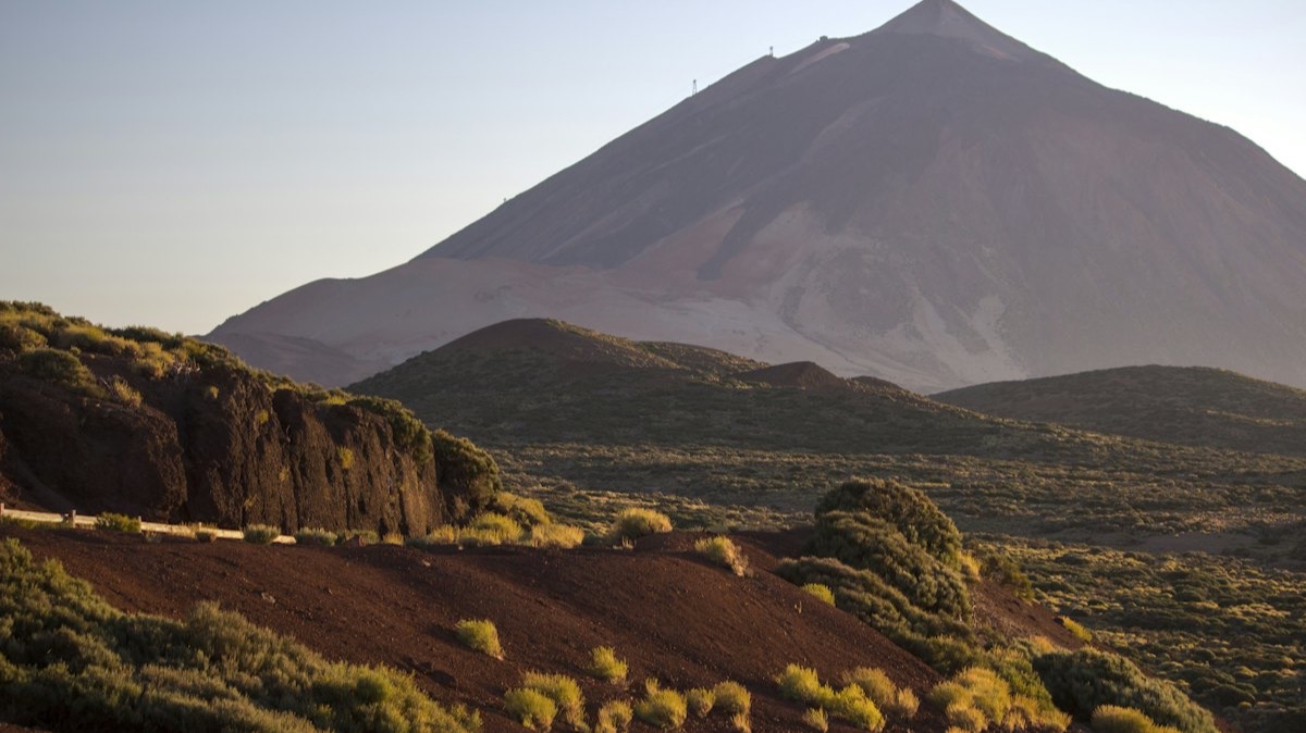 Le cône du Teide, à Tenerife, au-dessus des coulées de lave et des genêts du parc national