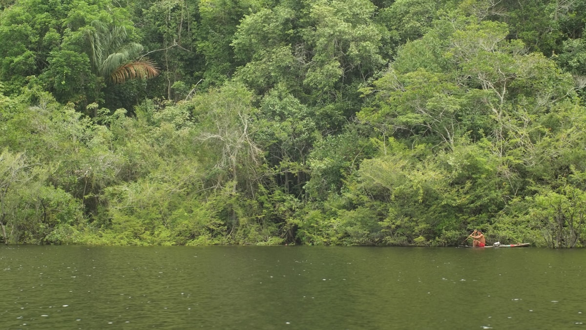 Pirogue naviguant sur un fleuve amazonien bordé de forêt dense