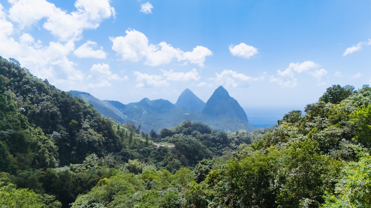Les deux Pitons de Sainte-Lucie couverts de jungle, vus depuis les hauteurs