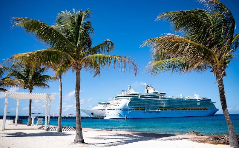 Navire de croisière à quai devant une plage des Caraïbes bordée de cocotiers