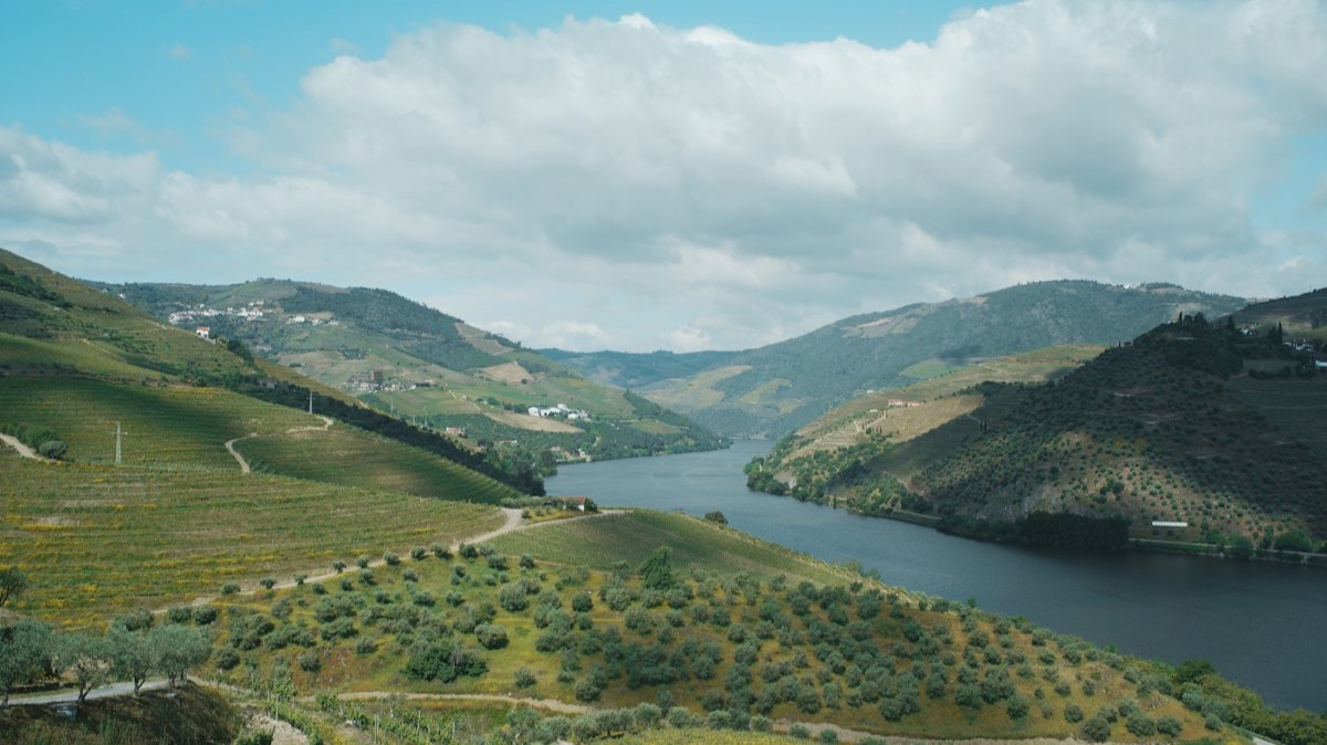 La vallée du Douro, ses vignes en terrasses et le fleuve qui serpente entre les collines