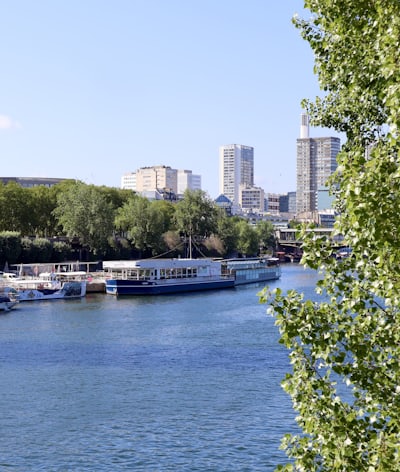 Bateaux fluviaux amarrés le long d'un fleuve