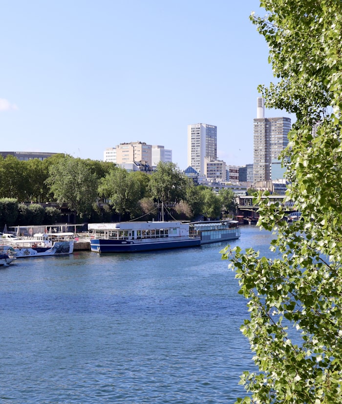 Bateaux fluviaux amarrés le long d'un fleuve traversant une ville